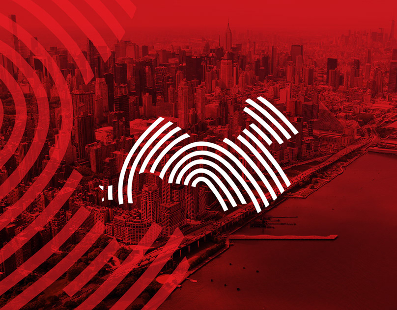 Branding-and-Web-Dev-for-Chinese-Company-Yindus